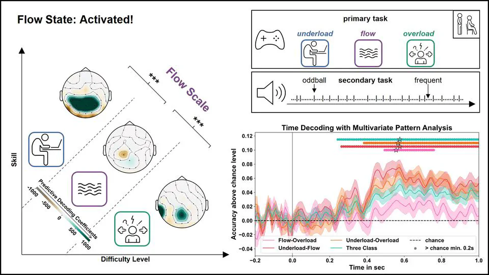 🧠✨ Preprint Alert: Flow - The Brain's Natural Filter