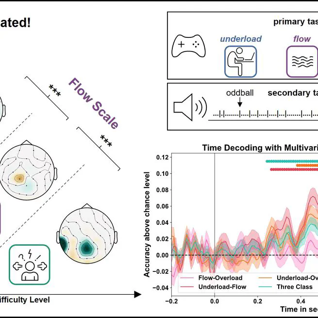 🧠✨ Preprint Alert: Flow - The Brain's Natural Filter