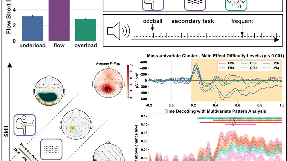 Shielding the Mind With Flow: Attention Allocation and Auditory Event-Related Potentials Under Varying Mental Workload