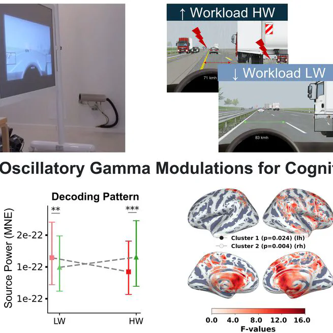 Decoding the Neural Basis of Interactions between Emotional Speech Processing and Attentional Control in Realistic Environments