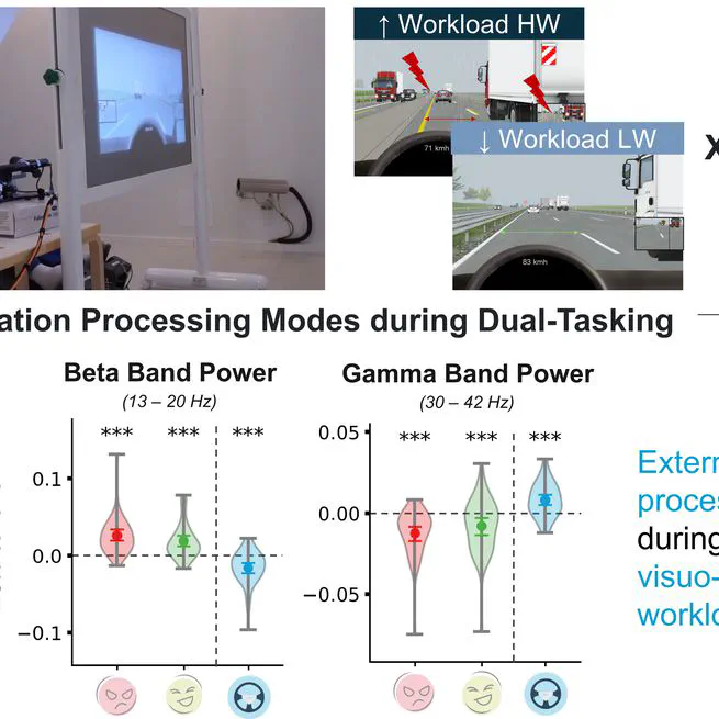 Neural and Pupillary Oscillations of External and Internal Information Processing Modes during Emotional Speech Processing and Visuo-spatial Workload