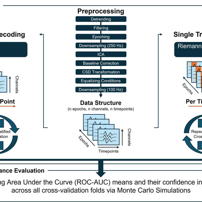 Evaluating robotic actions: spatiotemporal brain dynamics of performance assessment in robot-assisted laparoscopic training