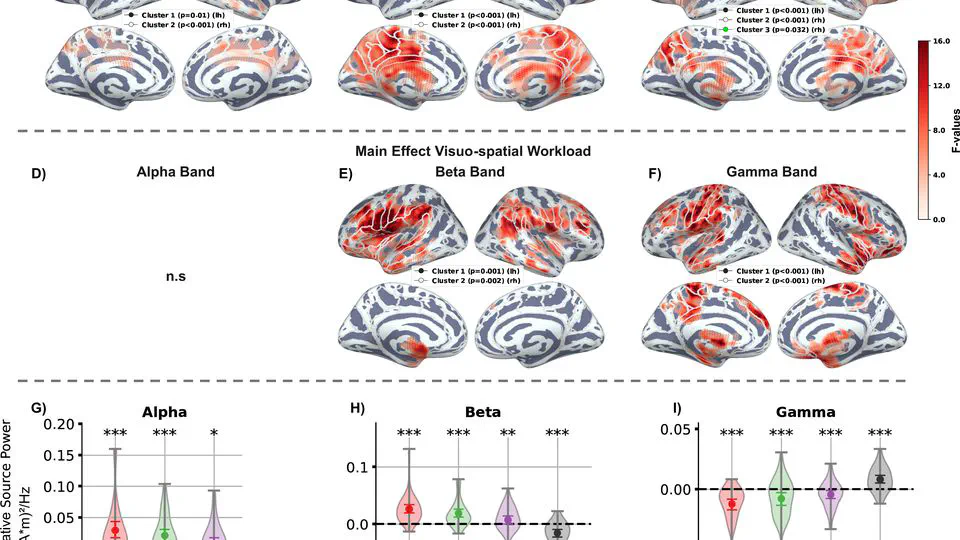 Oscillatory and gaze signatures of socio-emotional speech processing, visuo-spatial cognition, and their interaction in a near-realistic dual-task MEG study