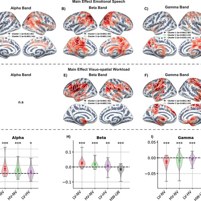 Oscillatory and gaze signatures of socio-emotional speech processing, visuo-spatial cognition, and their interaction in a near-realistic dual-task MEG study